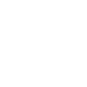 Logo of Blackstone labs company